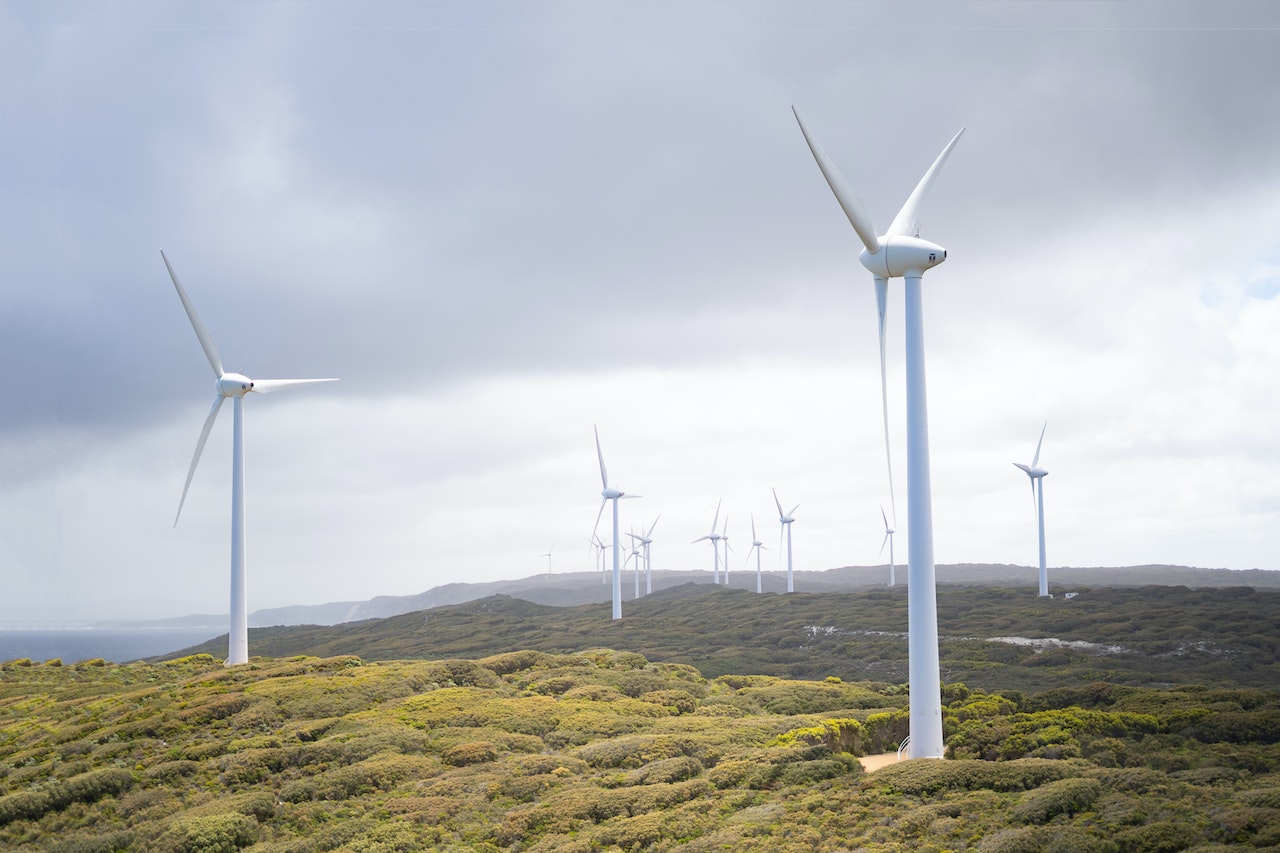 Submission on Proposed EU Carbon Accounting Amendments for the LULUCF Sector