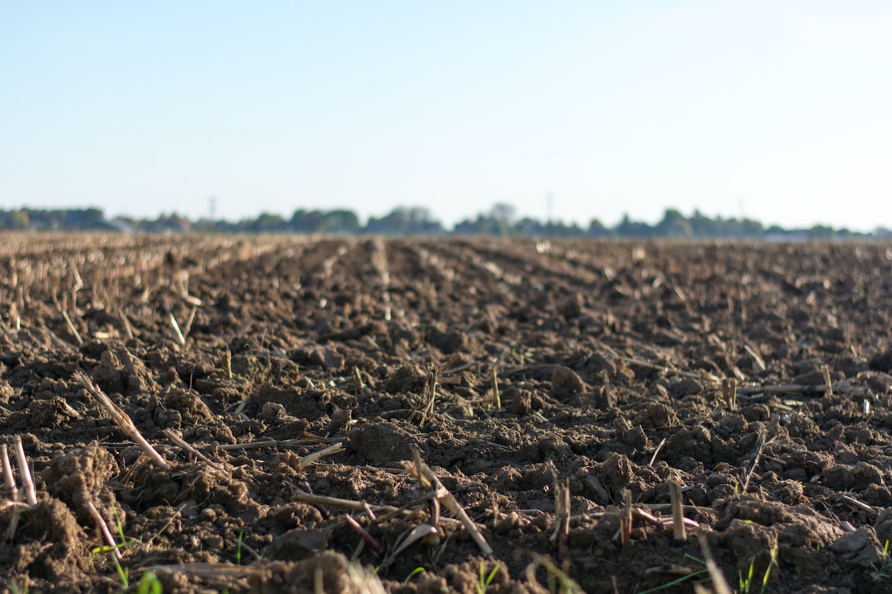 Protecting, Sustainably Managing and Restoring EU Soils