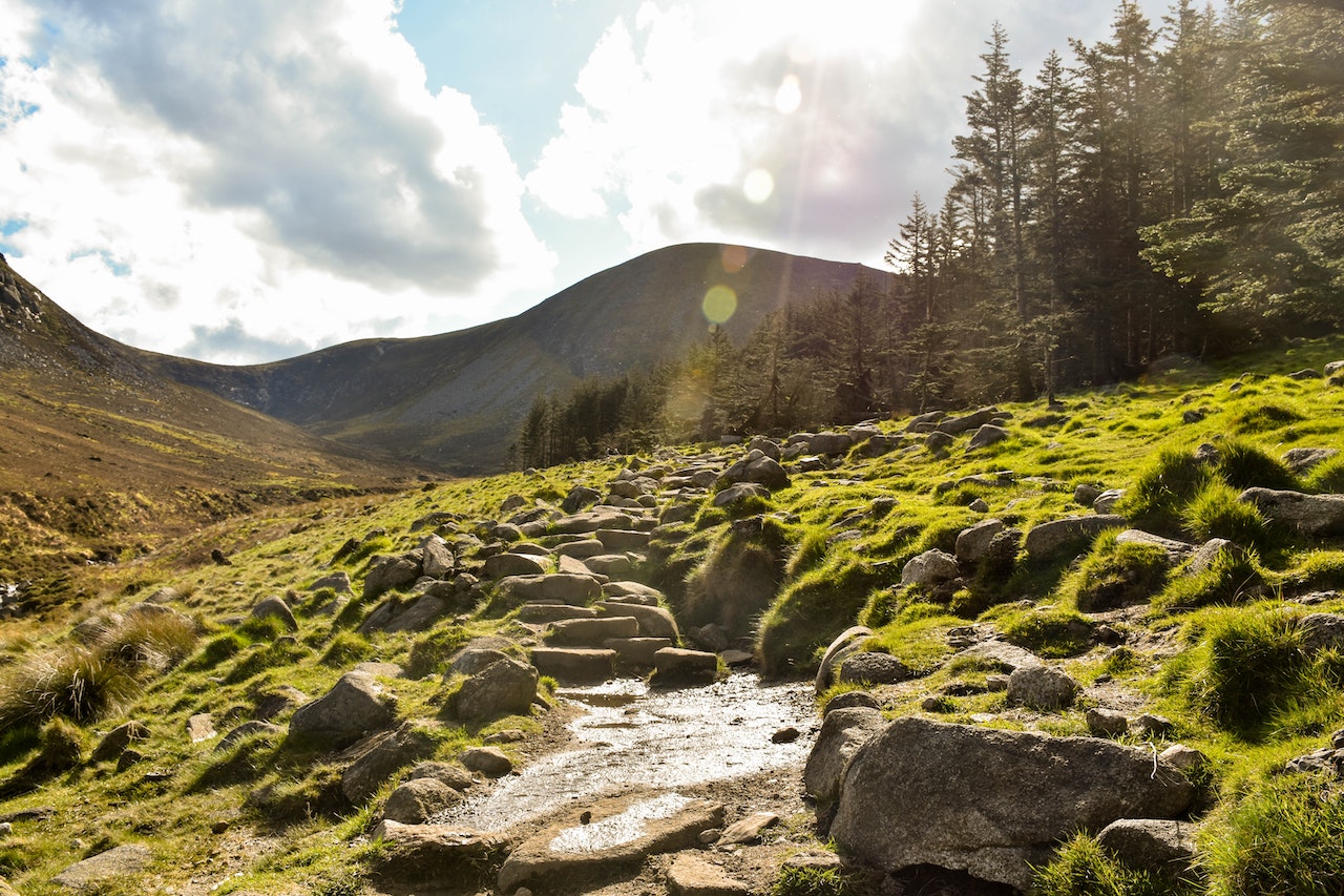 Submission to the Department of Housing, Local Government and Heritage in Response to the Public Consultation on Ireland’s Fourth National Biodiversity Action Plan (NBAP)