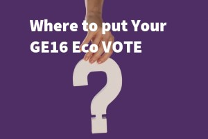 General Election 2016- climate change recommendations