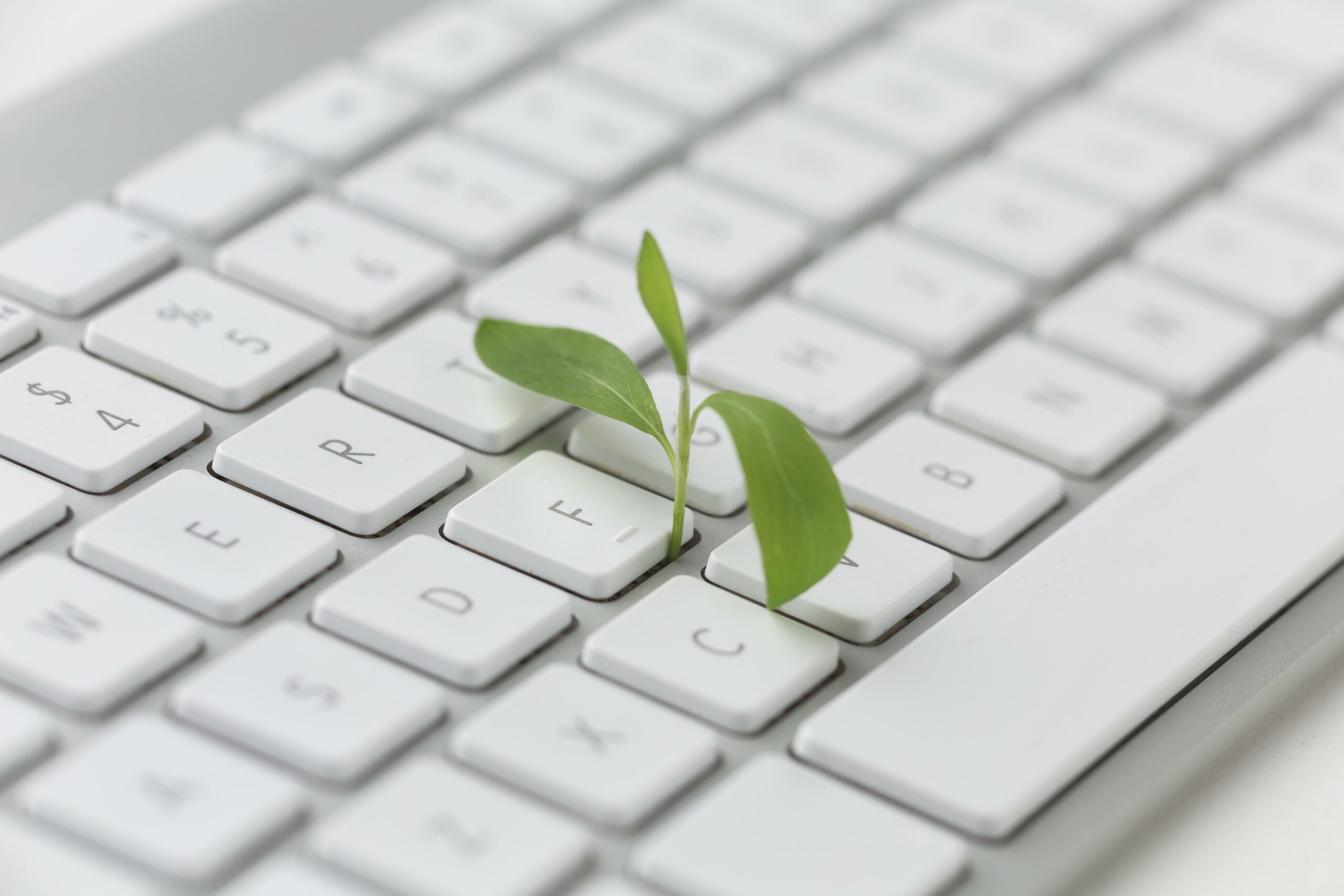 Ecodesign and Ecolabelling Requirements for Computers, ZWAI Submission to EU Commission