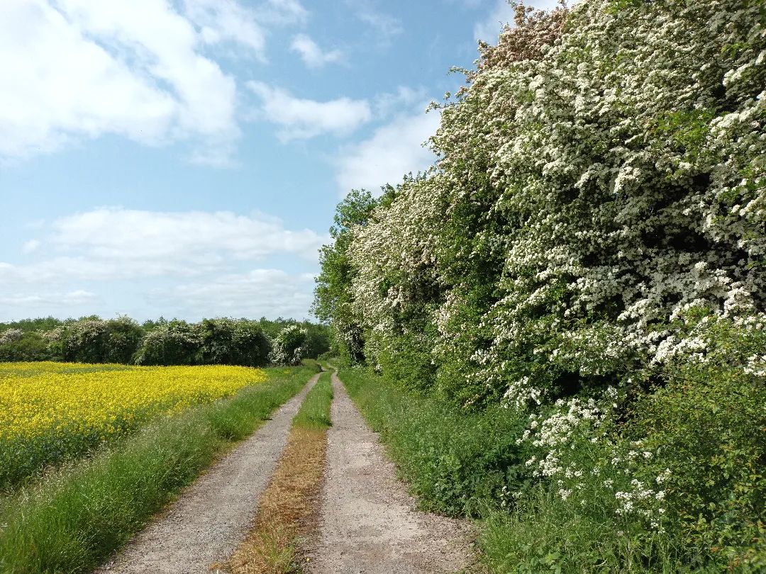 Roadmap Towards Nature Credits
