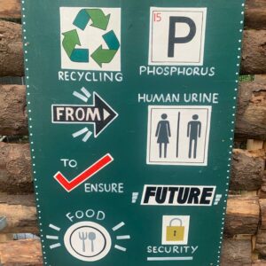 Turning Urine into Fertiliser: The Struvite Project in Festivals and Communities