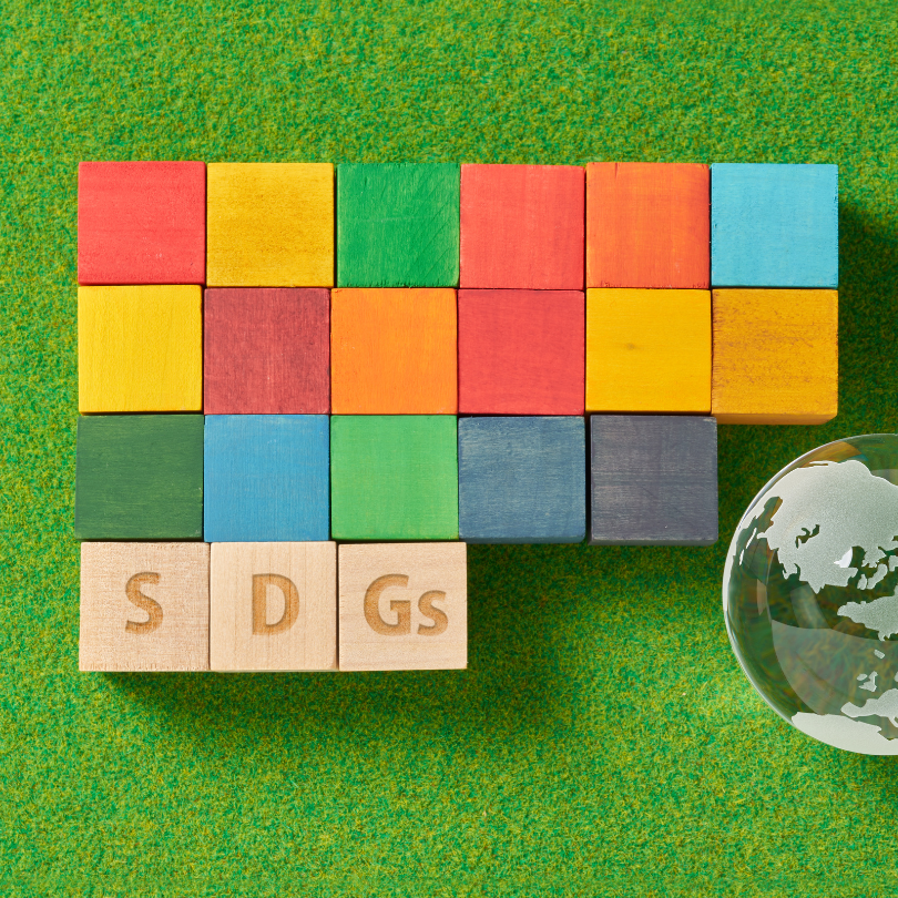 Submission on Ireland’s third SDGs Plan