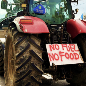 ZWAI Statement: Ongoing Fuel Protests